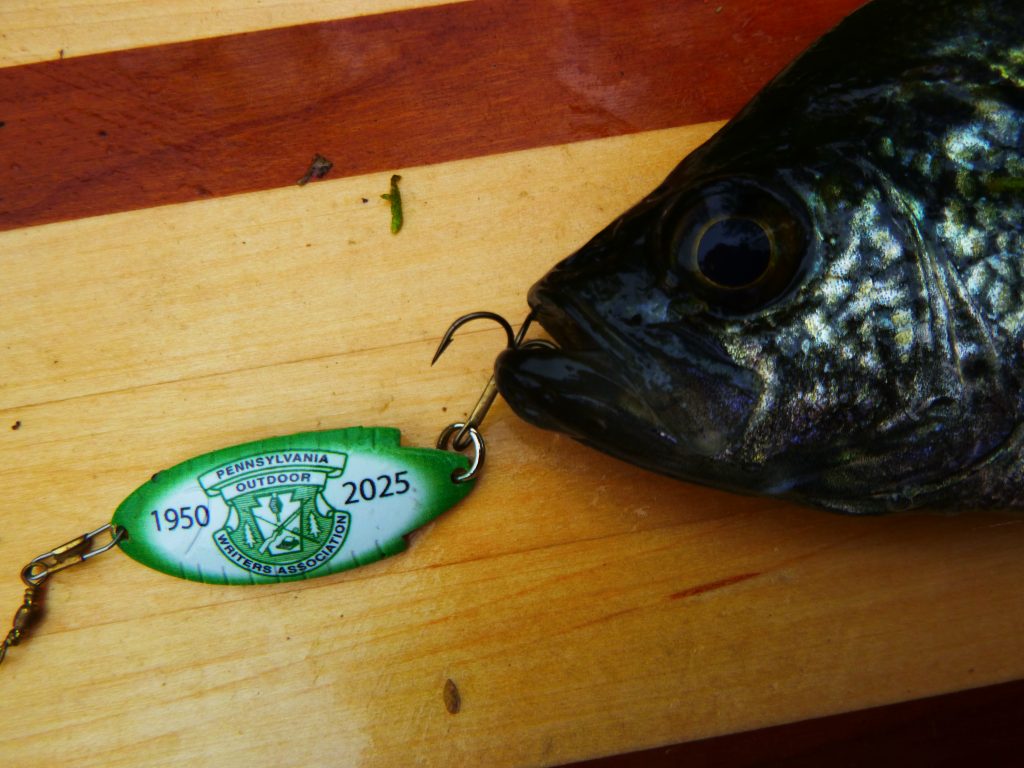 Commemorative catch